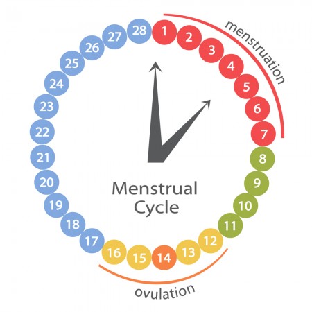 troubles menstruels
